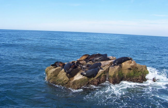 Tour por Isla de las Piedras - Foto 2