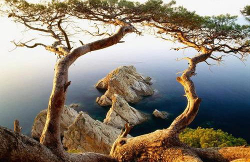 A&A Brothers -The Apartments- - Foto 20