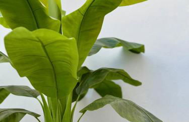 Oasis de Confort Urbano 2 Plantas - Foto 38