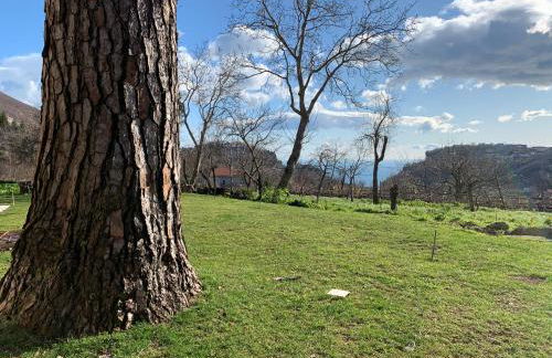 Tenuta Novecento Bio Agriturismo - Foto 18