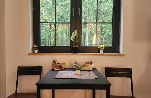 Leśna Osada Wieliszew - Foto 16