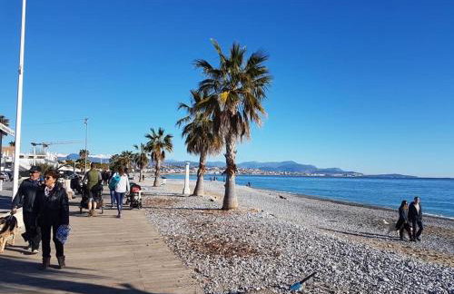 VILLENEUVE LOUBET- MARINA BAIE DES Anges -AU BON VIVRE - 2 pièces- Le Ducal - 60m2 Luxe - Photo 6