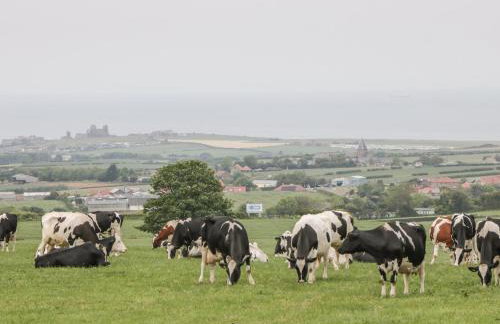 Abbey View Cottage - Foto 18