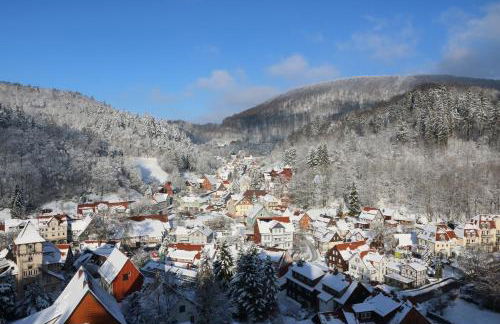 Ferien Penthouse Panoramablick oder Studio Panoramablick - Foto 37