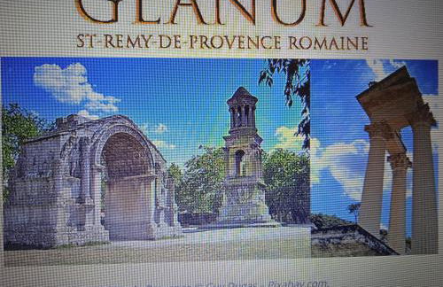 Les Oliviers de Camargue - Foto 49