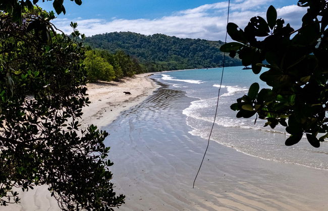 North Ubatuba Boat Tour - Photo 1