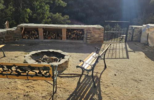 Experience Alpacas in Andalucia - Foto 22