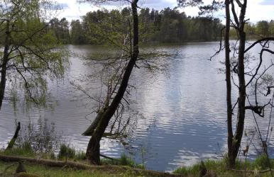 Na Przypiecku - Foto 14