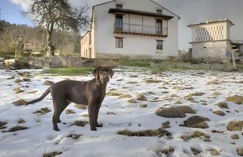 Casa da Penela - Foto 14