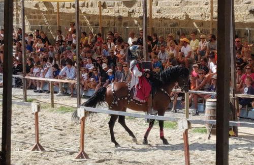 Appartement L'Oliveraie - La Cité plein les yeux - Foto 46