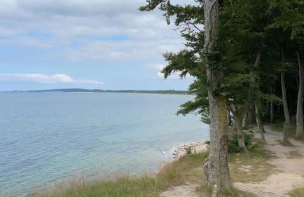 Gut Koselau Landhaus V - Foto 35