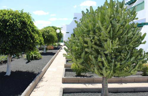 Las Mimosas - Foto 55