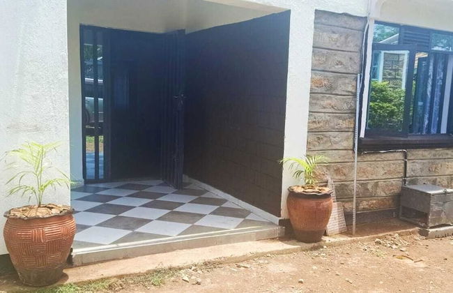 Cosmos Masawa - Foto 16