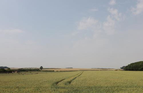 Corner View - Photo 16