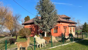 Kuća za odmor Raguž - Foto 2