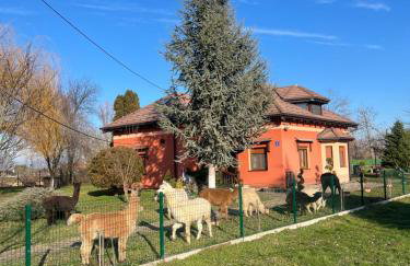 Kuća za odmor Raguž - Foto 2