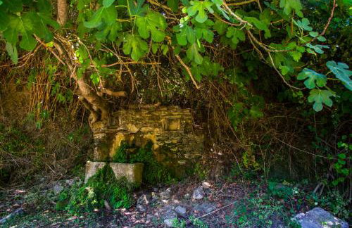 Iris' Traditional Stone House - Foto 37