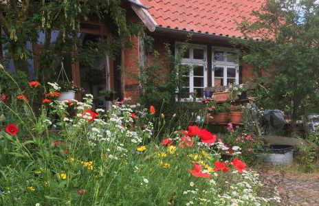 Ferienhof Rauchhaus - Foto 25