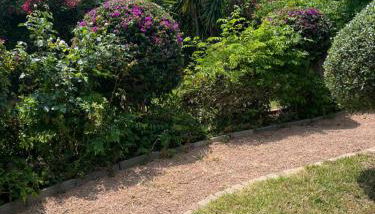 Villa Marine de Solaro - Foto 2