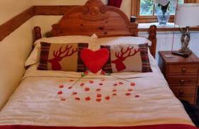 Baidland Escapes 2 bedroom cottage With hot tub - Foto 47