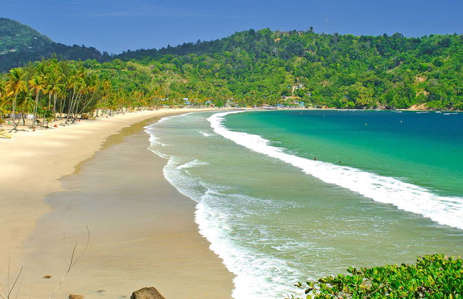 Visite dans Port d'Espagne et Maracas Beach - Photo 1