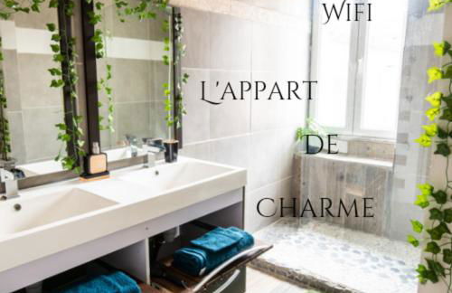 appart de charme a 2 pas du centre de Montbrison - Foto 11