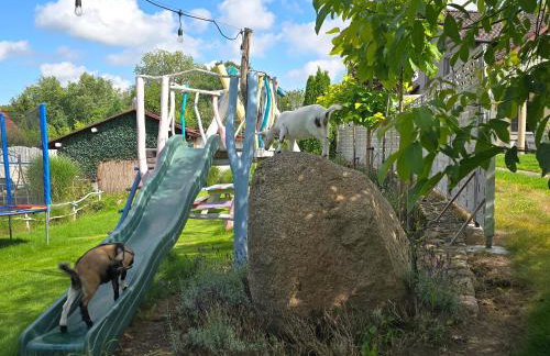 Agroturystyka Nad Stawem - Foto 10