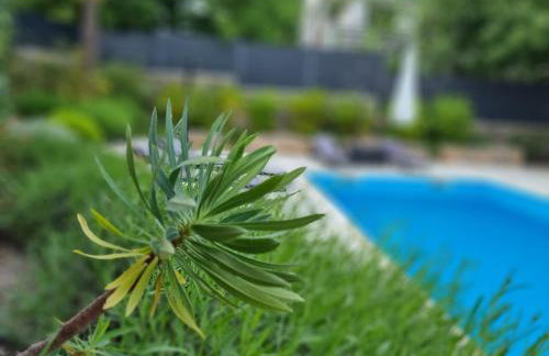 Villa Bellina Muraj - Photo 12