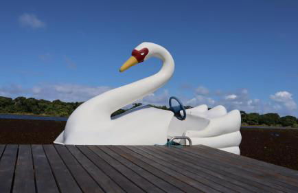 Apartamento espetacular na MELHOR praia da Bahia, GUARAJUBA é uma das únicas praias com selo azul do Brasil -Luxo, lazer, diversão e tranquilidade! Projetado para que você tenha a melhor experiência em hospedagem - Condominio tipo resort, o mais procurado - Foto 80