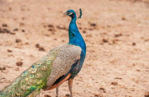 Chalet do Lago - Foto 57