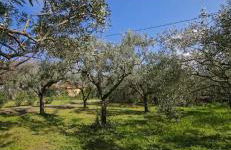 Casa Pizzillo - Foto 25