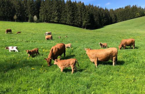 Ferienwohnung am Schneeberg - Foto 36
