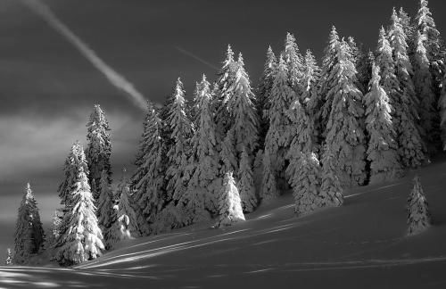 La Gentiane bleue, vue lac Saint Point - Foto 32