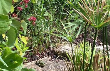 Saumur Loire chambres et gite - Photo 9