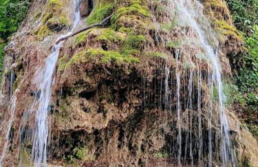 Le Mas Les Salamandres - Foto 34