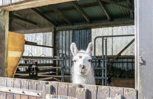 Ferienhof Friccius - Photo 25