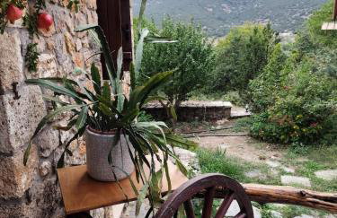 Velanidi Guesthouse - Foto 8