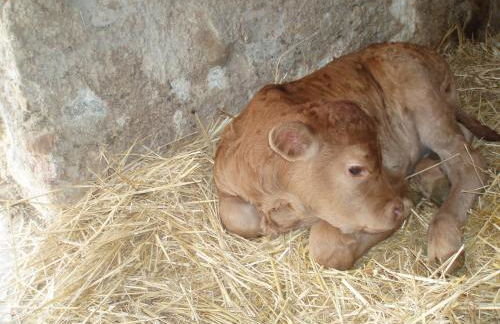 Agriturismo Il Crinale - Foto 50