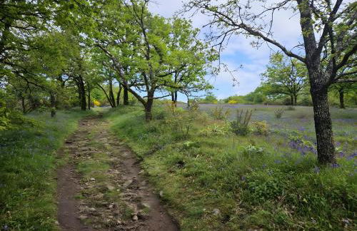 Gite La Marguerite À La Campagne - Foto 19