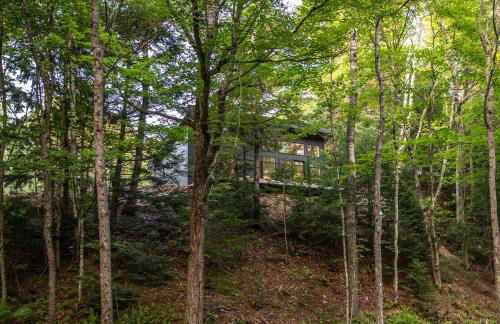 Cozy Luxury Cabin w Hot Tub, Fire Pit, King Bed - Foto 64