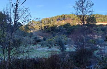 Casa Penafalcão - Foto 78