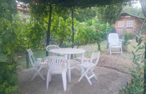 Casa Branchetti - Foto 18