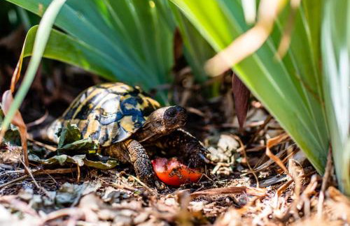 Apartments More - Foto 34