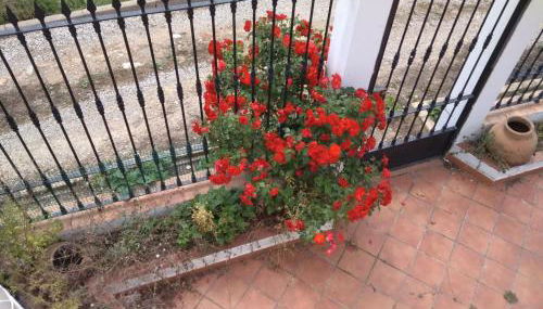 Casa Cipres - Photo 4, Garden view