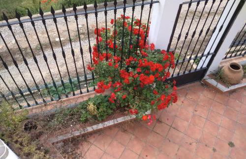 Casa Cipres - Photo 4