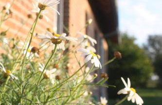 Forsthof Niendorf - Foto 21