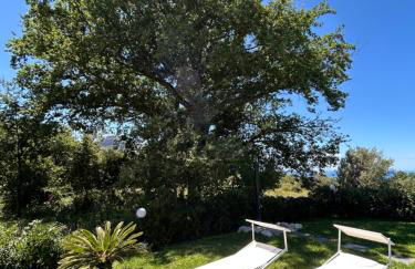 Villa Grazia - Foto 7