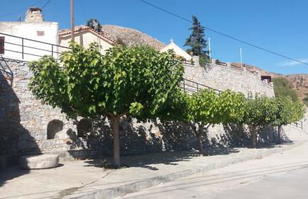 Petrochori ApartHotel - Foto 62