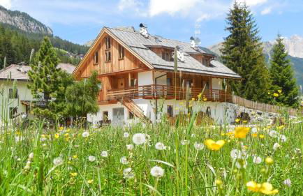 Tobià el Salvan - Foto 1