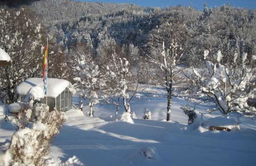 Holzer Feng Shui - Foto 10